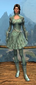 Appearance on light armor.