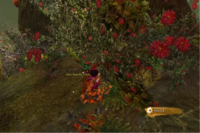Gregorios the Beautiful 1 location.png