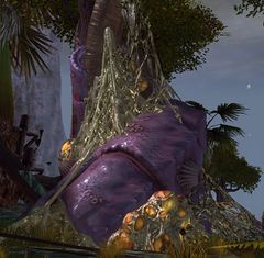 Karka Nest.jpg