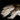 Patch of Fur.png