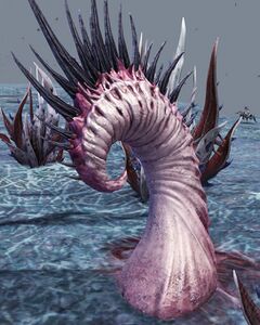 Swiftspike Plant.jpg