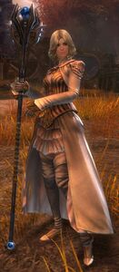 Veteran Ascalonian Mage (human).jpg