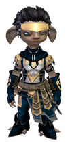 Vigil's Honor armor (light) asura male front.jpg