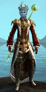 Warden Caerwyn.jpg