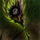 Zhaitan's Breath.png
