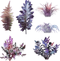 Render of Branded Ascalonian foliage.