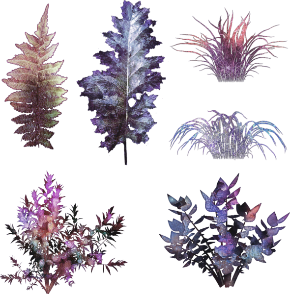 File:Branded foliage 1.png
