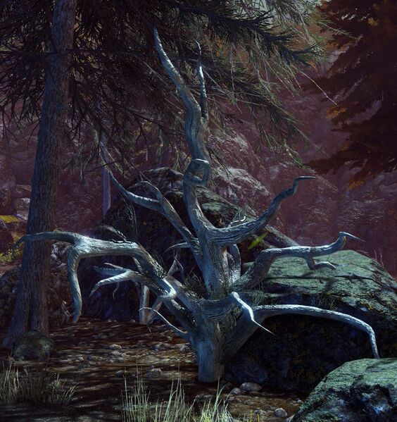 File:Dead Bush.jpg