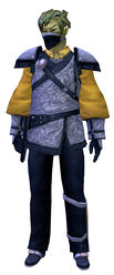 Duelist armor sylvari male front.jpg