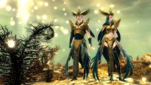 Dwayna's Regalia Outfit.jpg