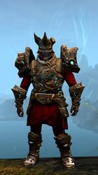 Leystone armor (heavy) norn male front.jpg