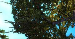Loose Vegetation (Tyrian Taste Testing).jpg