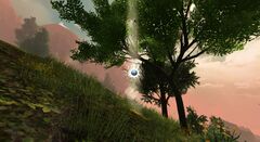 Lowland Shore Insight- Severed Isle.jpg
