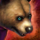 Mini Bear Cub.png