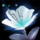 Morgan's Orchid.png