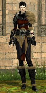Skyscale Trainer Dyanne.jpg