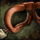 Thick Mask Strap.png