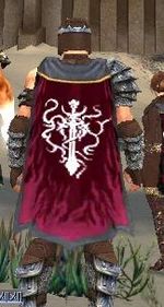 User Scout Guild Your Math Teacher cape.jpg