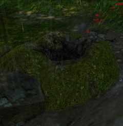 Beetle Burrow.jpg