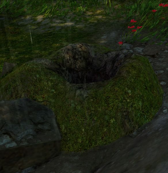 File:Beetle Burrow.jpg