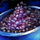 Bowl of Grape Pie Filling.png