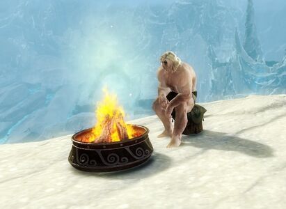 Campfire Chair norn male.jpg