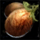 Chicken Feed.png