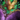 Daydreamer's Weapon Box