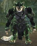 Dominion Shadow 1.jpg
