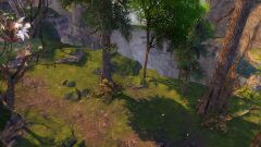 Dubious Islet.jpg