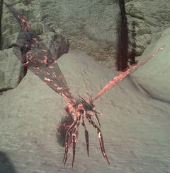 Fallen Furfly.jpg