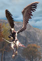 Harpy Hunter.jpg