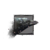 Juvenile Raven.png