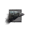 Juvenile Raven.png