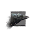 Juvenile Raven.png