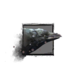 Juvenile Raven.png