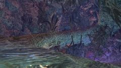 Karka Hive.jpg