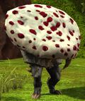 Mushroom Bomber.jpg