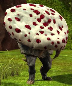 Mushroom Bomber.jpg