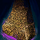 Netted Crates.png