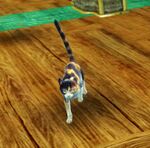 Party Animal location 04.jpg