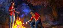 Plaid Shirt Package banner.jpg