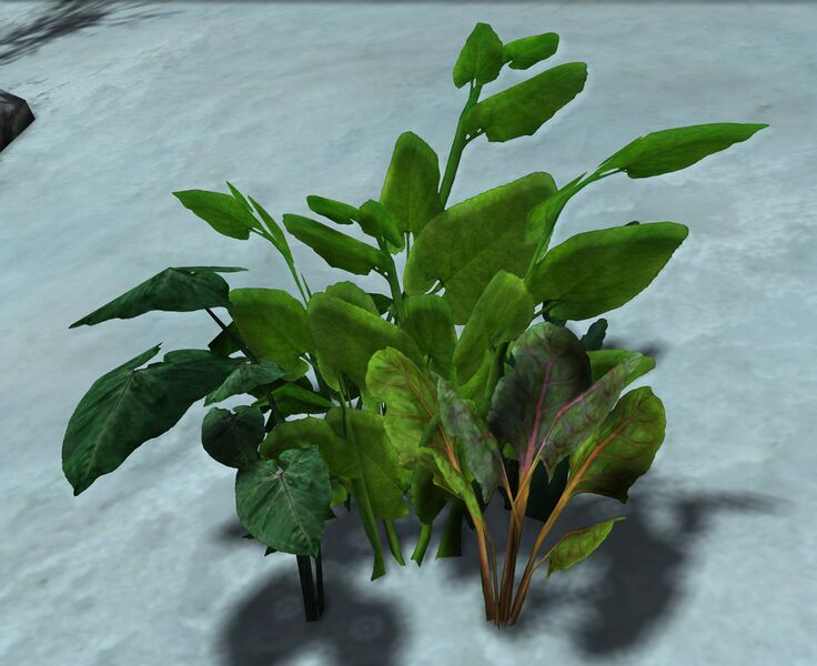 File:Potato (node).jpg