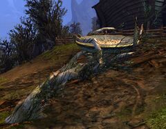 Raven Roost.jpg