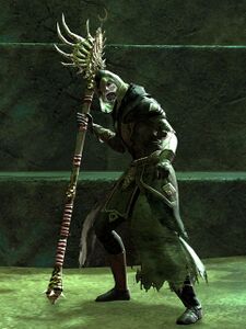 Risen Seneschal Elam.jpg