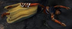 Trapped Nomad.jpg