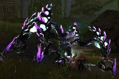 Void Brandstalker.jpg