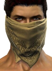 Adventurer's Scarf.jpg