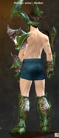 Back view