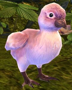 Baby Bird.jpg